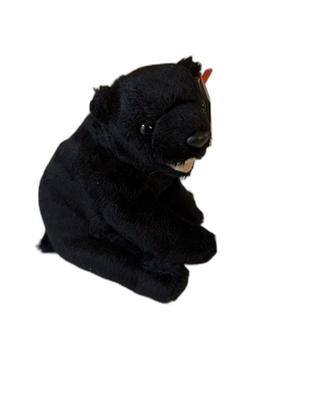 TY Beanie Baby Cinders - The Black Bear - Retired - 2000